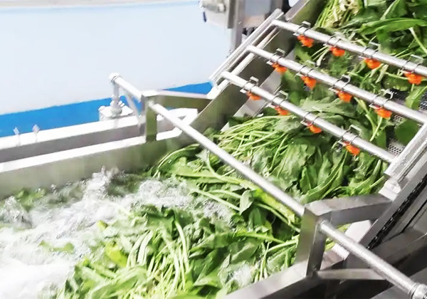 蔬菜清洗机的参数和适用范围