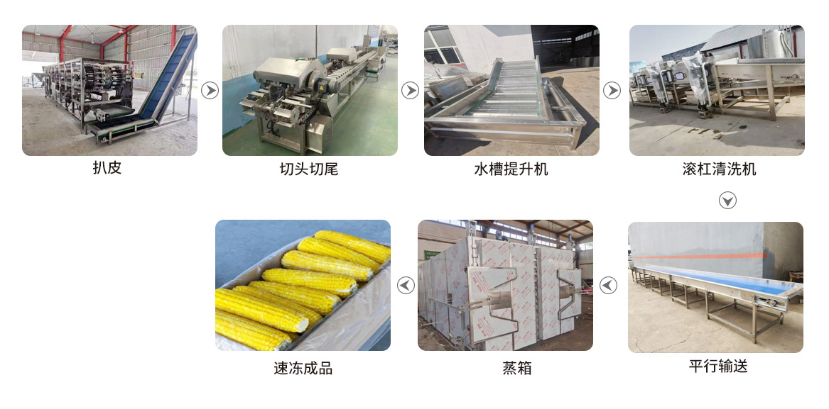 速冻玉米加工生产线设备(图1)